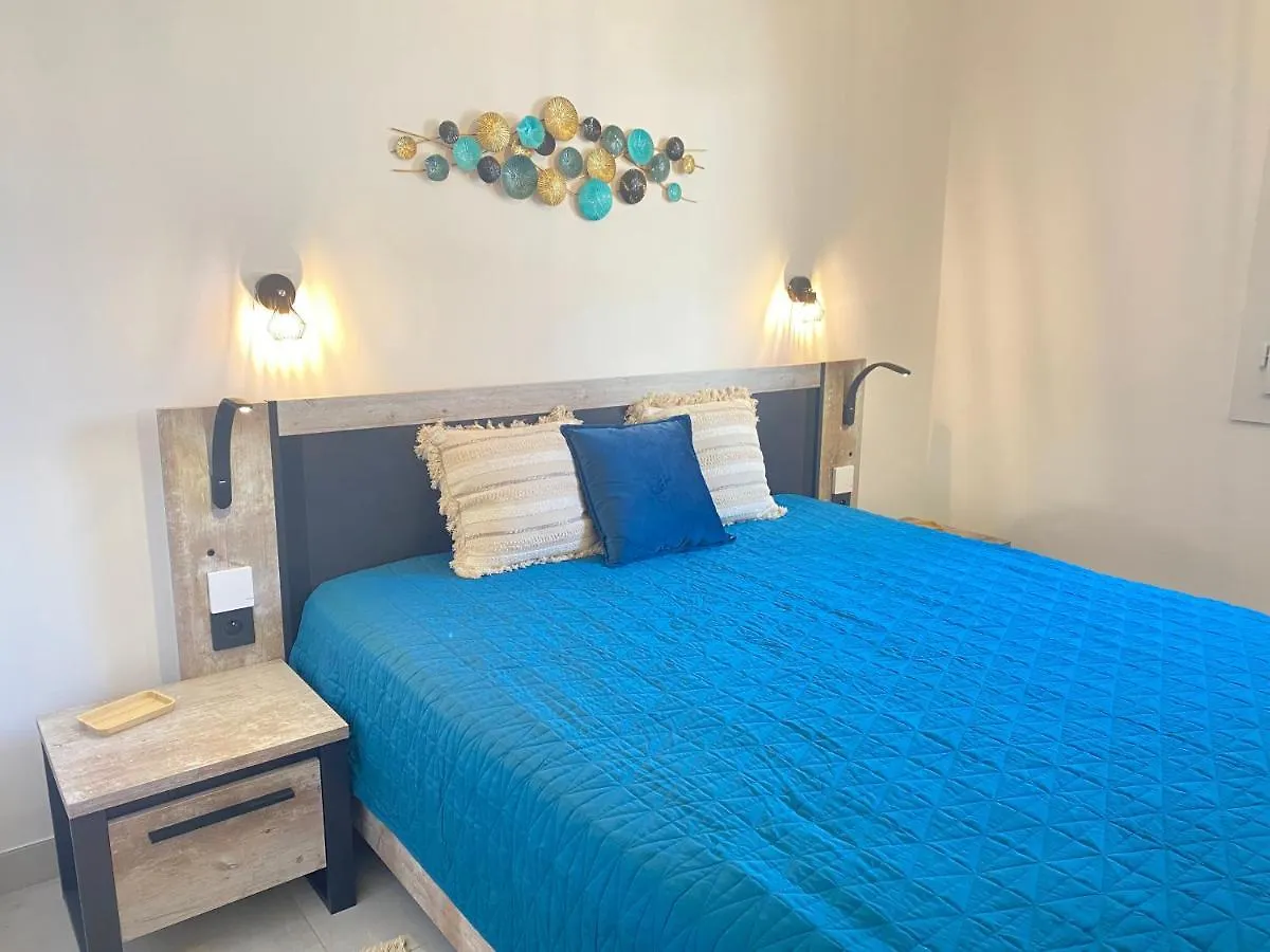 公寓 Somptueux Appartement Renove En Bord De Mer 锡富尔勒普拉日